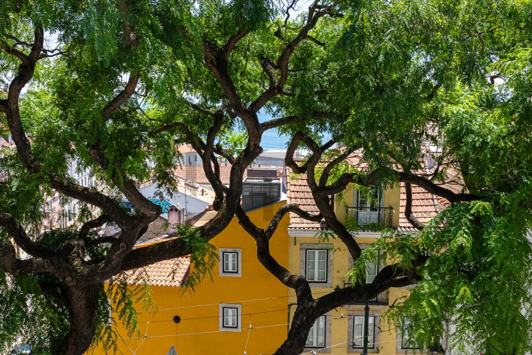 Apartamento T1 para Venda em Santa Maria Maior Foto 16