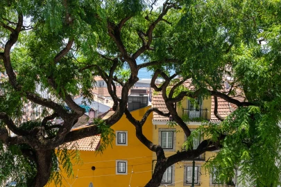 Apartamento T1 para Venda em Santa Maria Maior