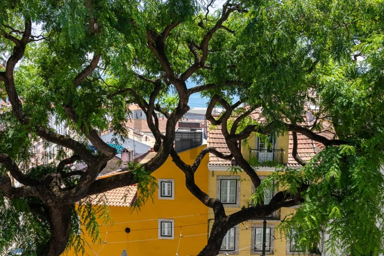 Apartamento T1 para Venda em Santa Maria Maior Foto 16