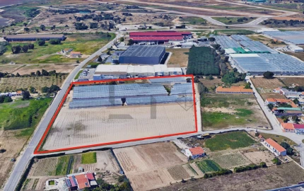 Terreno Comércio / Armazém para Venda em Montijo e Afonsoeiro