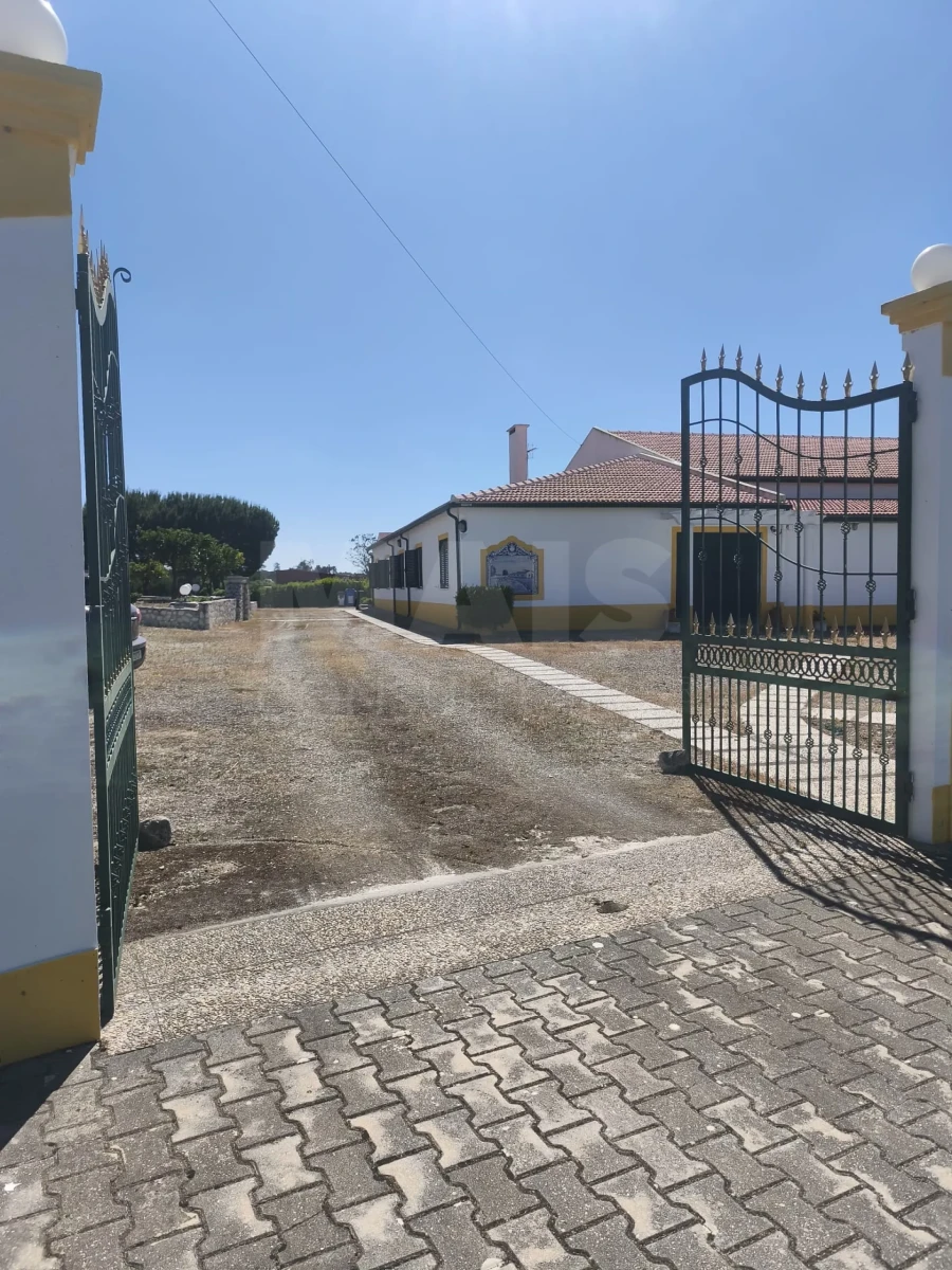 Moradia T5 para Venda em Branca Foto 10
