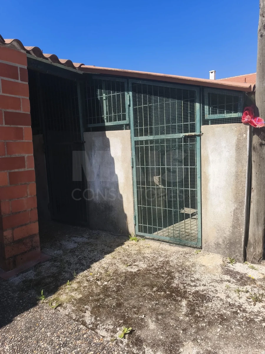Moradia T5 para Venda em Branca Foto 9