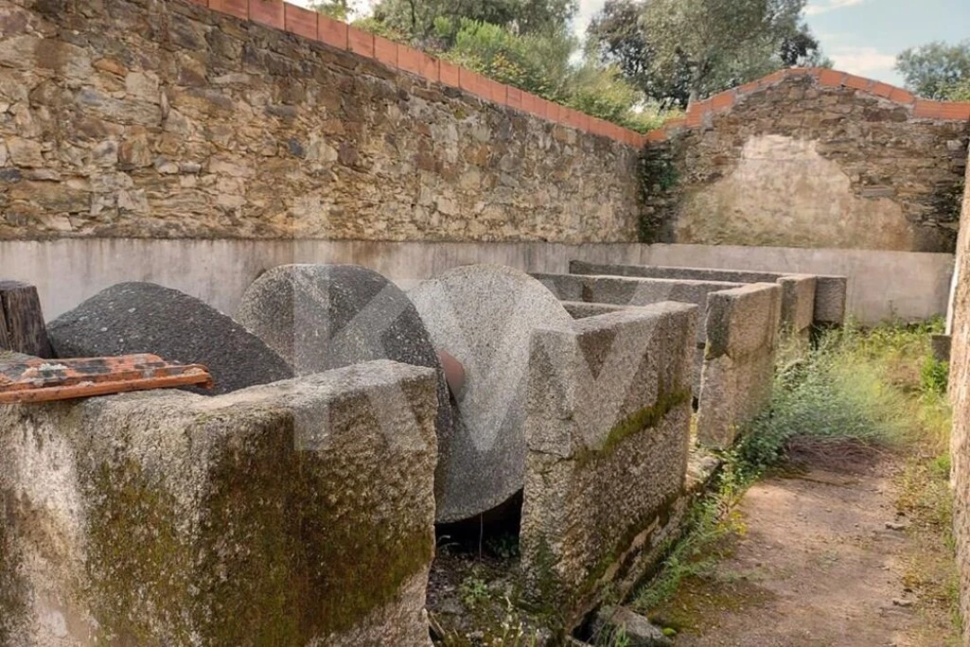 Quinta para Venda em Escalos de Baixo e Mata Foto 4