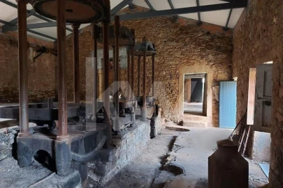 Quinta para Venda em Escalos de Baixo e Mata