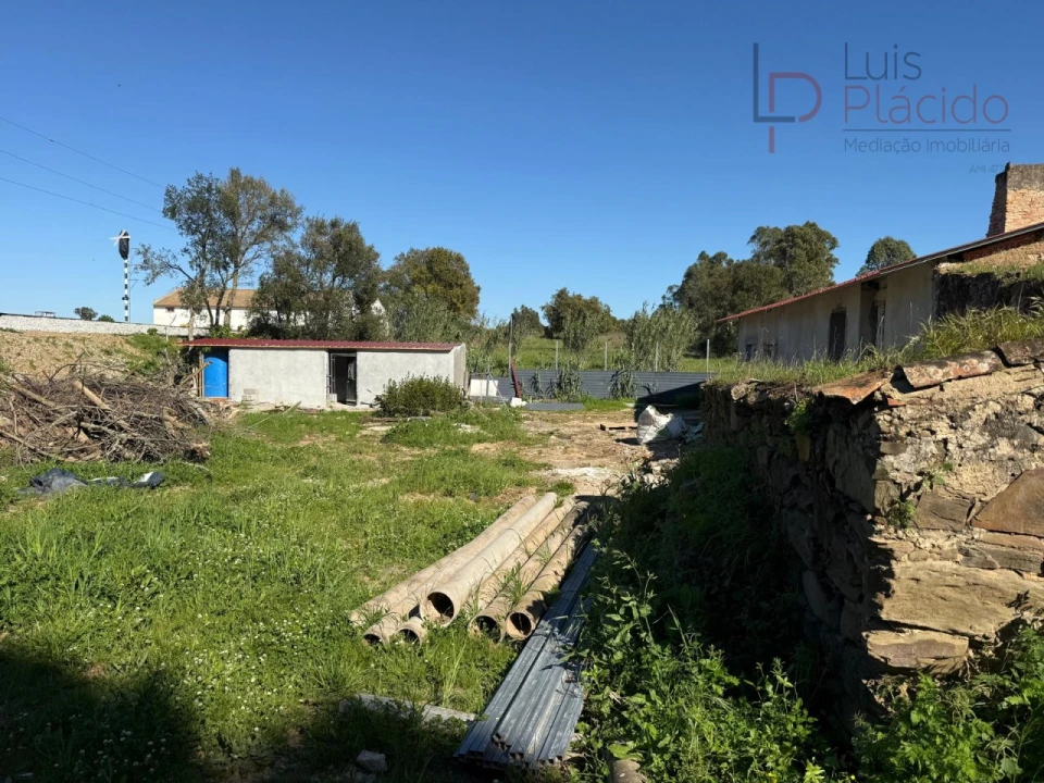 Quinta T5 para Venda em Abela Foto 24