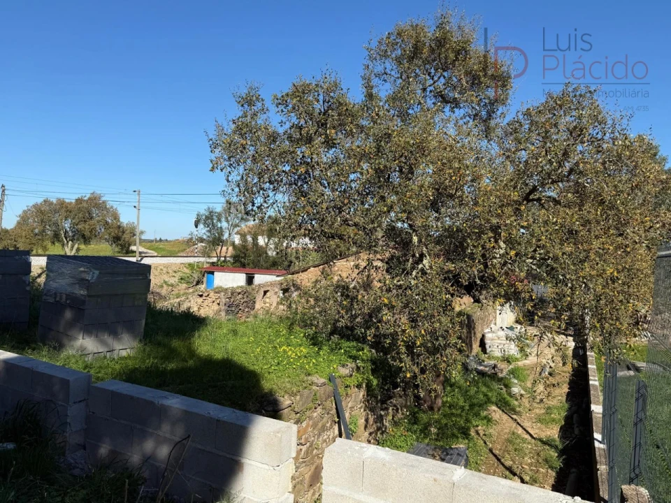 Quinta T5 para Venda em Abela Foto 38