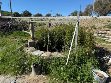 Quinta T5 para Venda em Abela