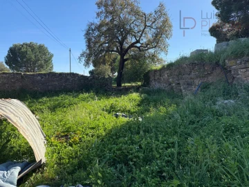 Quinta T5 para Venda em Abela