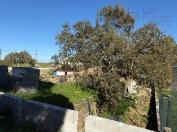 Quinta T5 para Venda em Abela