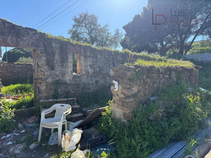 Quinta T5 para Venda em Abela Foto 22