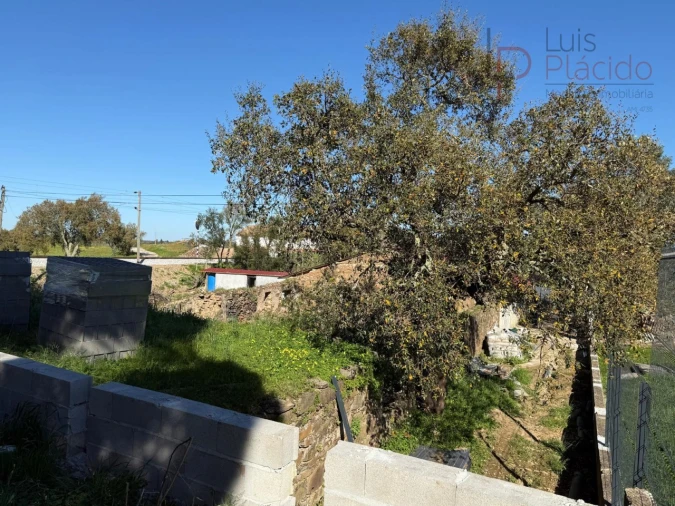 Quinta T5 para Venda em Abela Foto 38