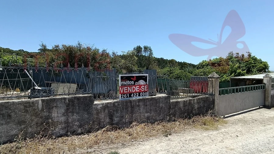 Terreno Agricola ou Rústico para Venda em Lourinhã e Atalaia