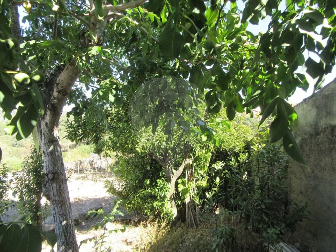 Moradia T2 para Venda em Assentiz Foto 13
