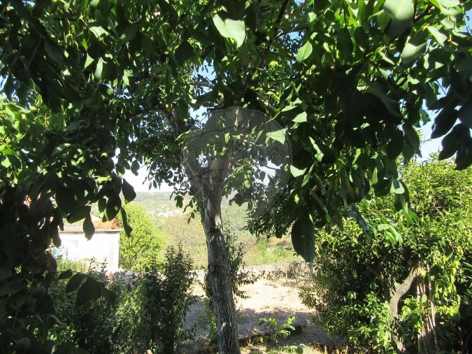 Moradia T2 para Venda em Assentiz Foto 12