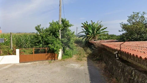 Terreno para Venda em Loureiro
