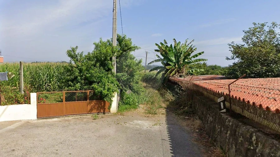 Terreno para Venda em Loureiro Foto 5