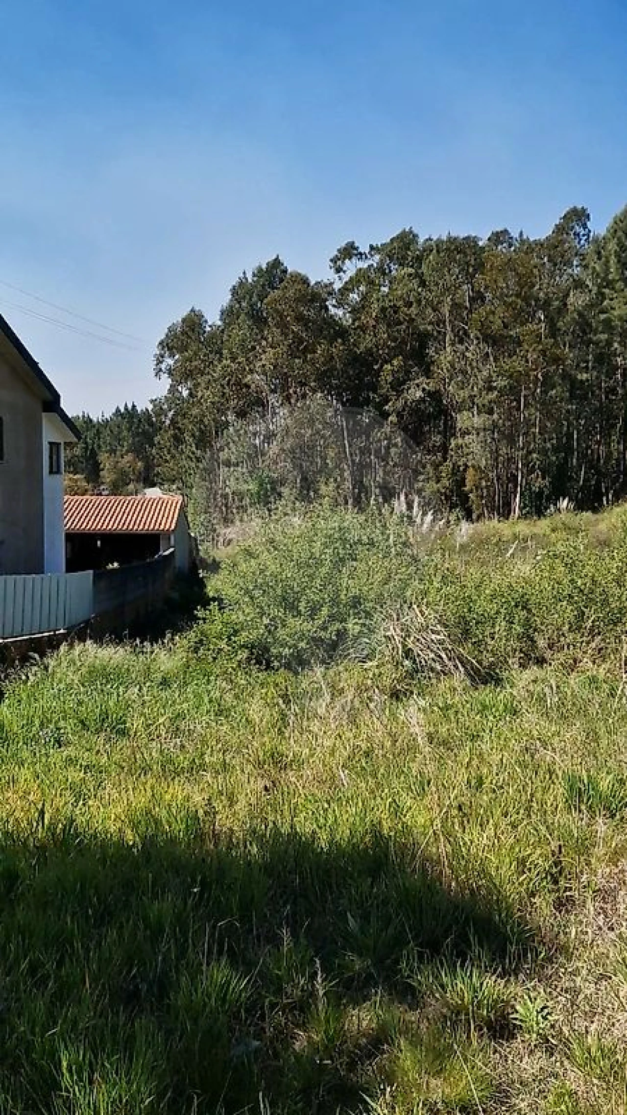 Terreno para Venda em Oliveira do Bairro Foto 1