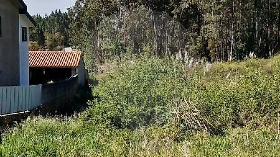 Terreno para Venda em Oliveira do Bairro