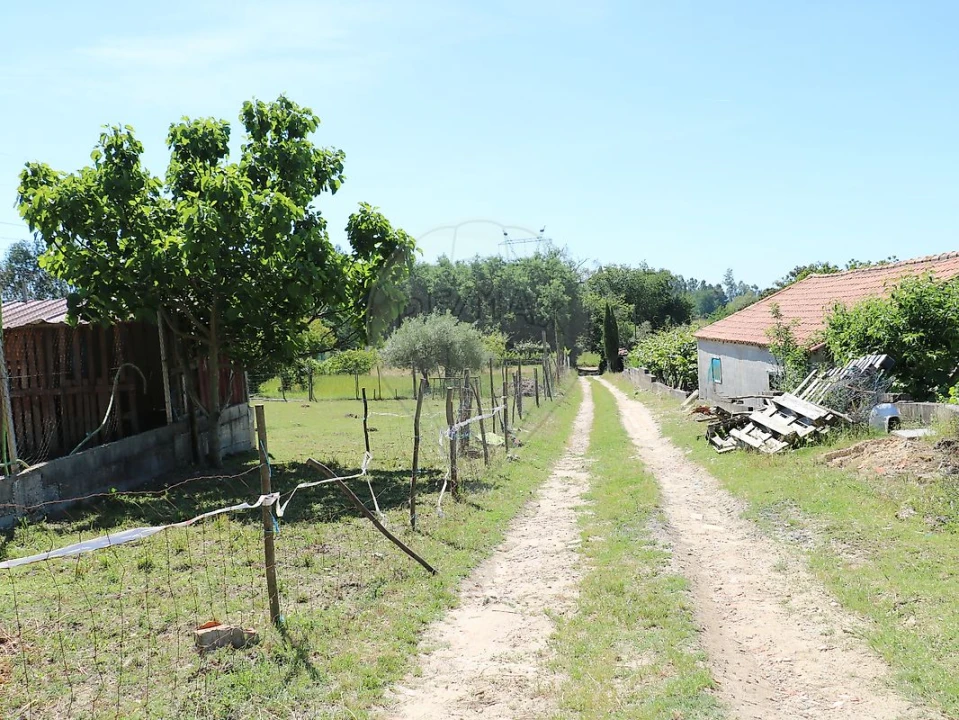 Terreno para Venda em São João do Campo Foto 5