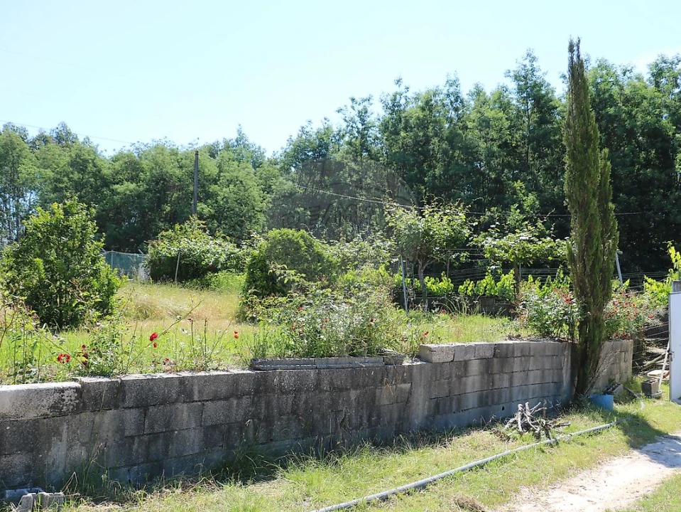 Terreno para Venda em São João do Campo Foto 3