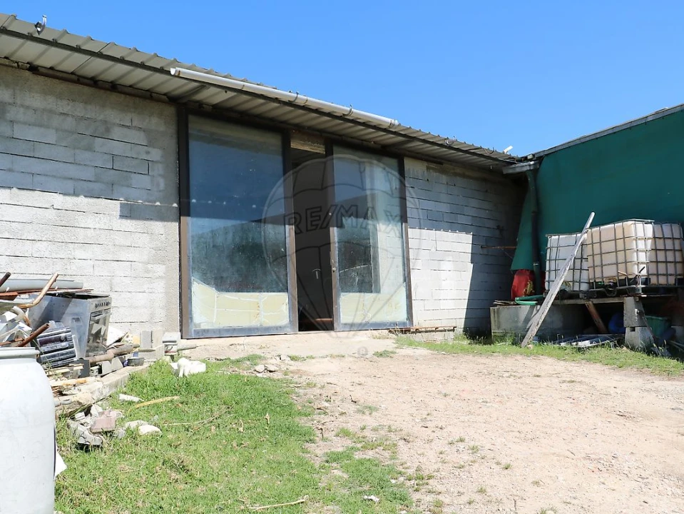 Terreno para Venda em São João do Campo Foto 4