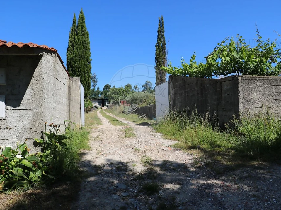 Terreno para Venda em São João do Campo Foto 2