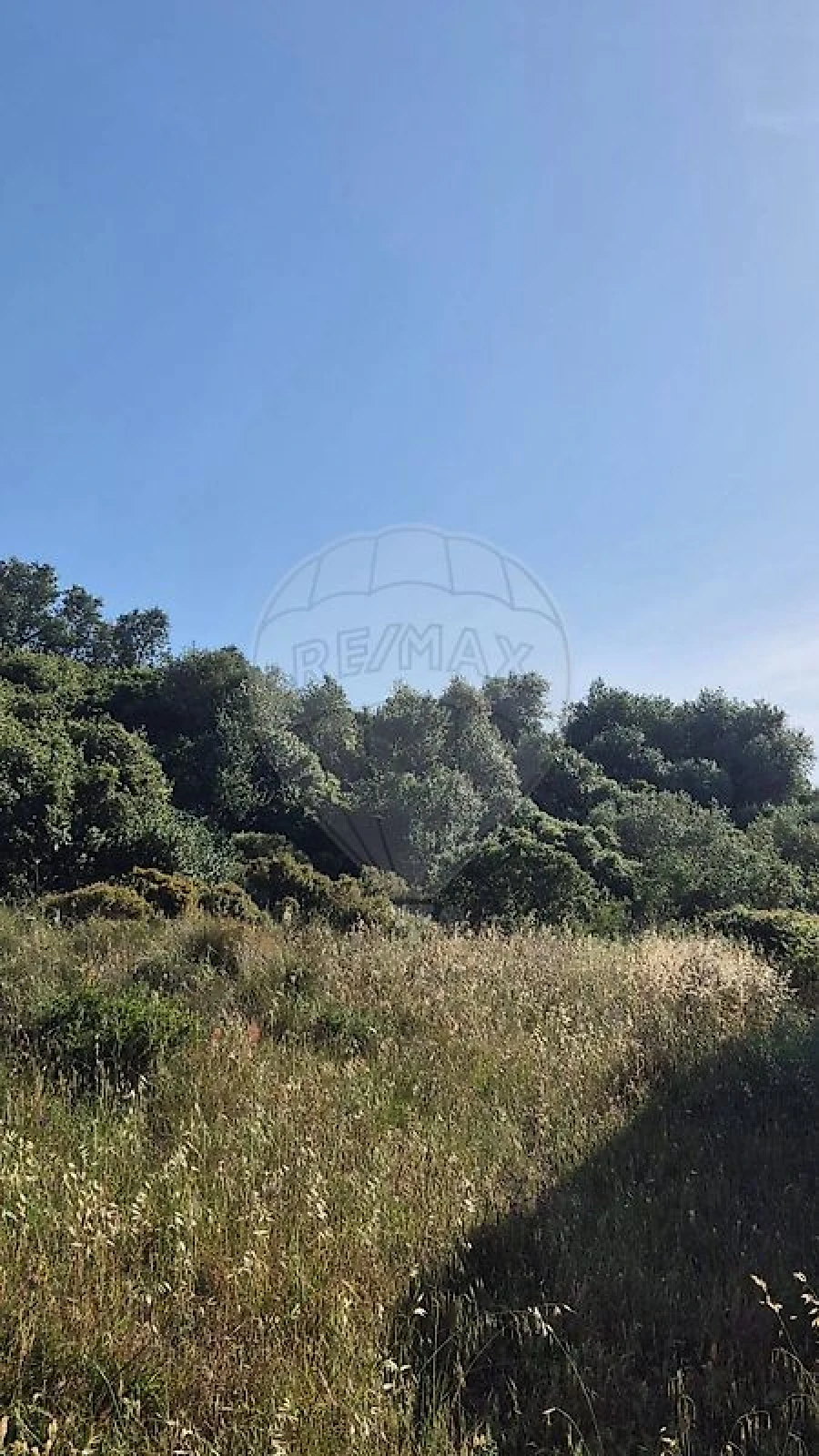 Terreno para Venda em Rio de Mouro Foto 2