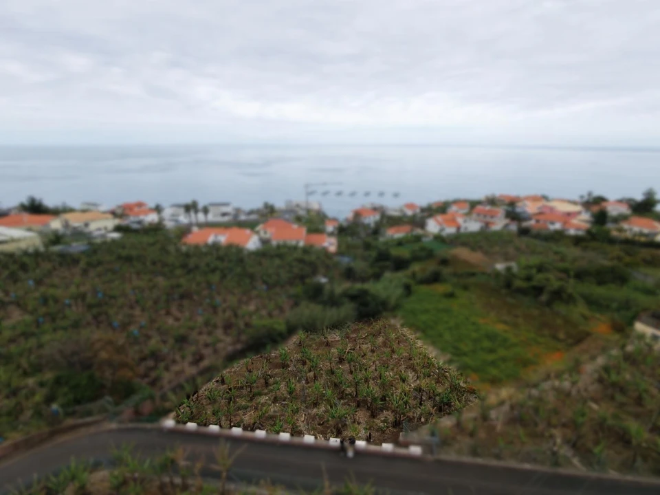 Terreno para Venda em Arco da Calheta Foto 2