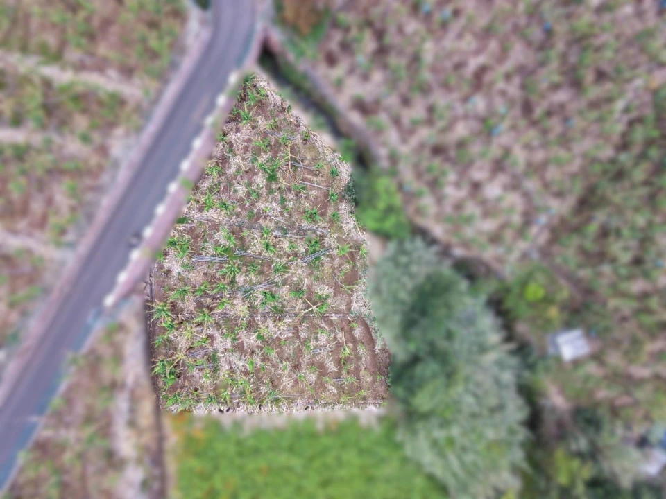 Terreno para Venda em Arco da Calheta Foto 3