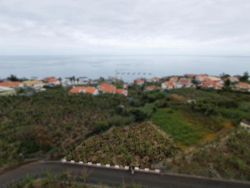 Terreno para Venda em Arco da Calheta