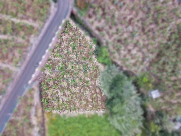 Terreno para Venda em Arco da Calheta