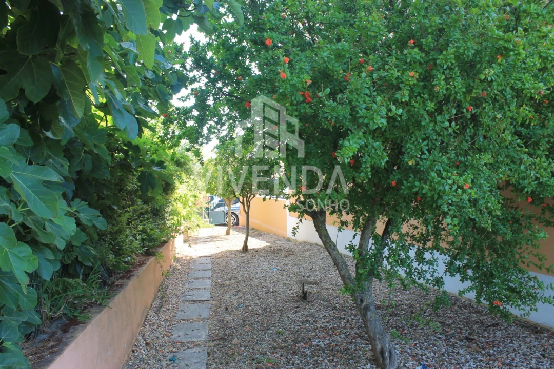 Moradia T4 para Venda em Gambia-Pontes-Alto da Guerra Foto 37