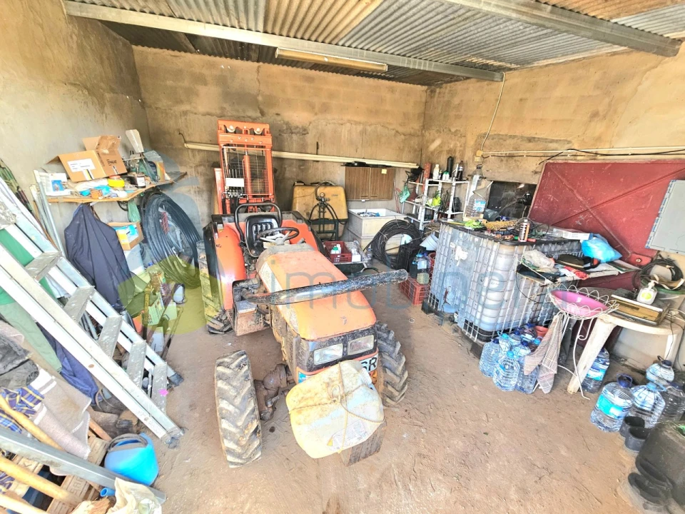 Terreno Agricola ou Rústico para Venda em Algoz e Tunes Foto 13