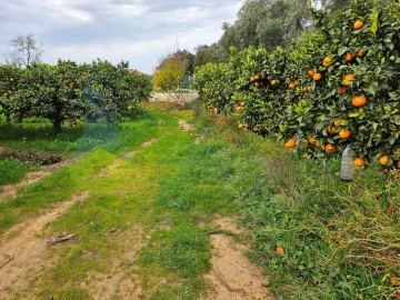 Terreno Agricola ou Rústico para Venda em Algoz e Tunes