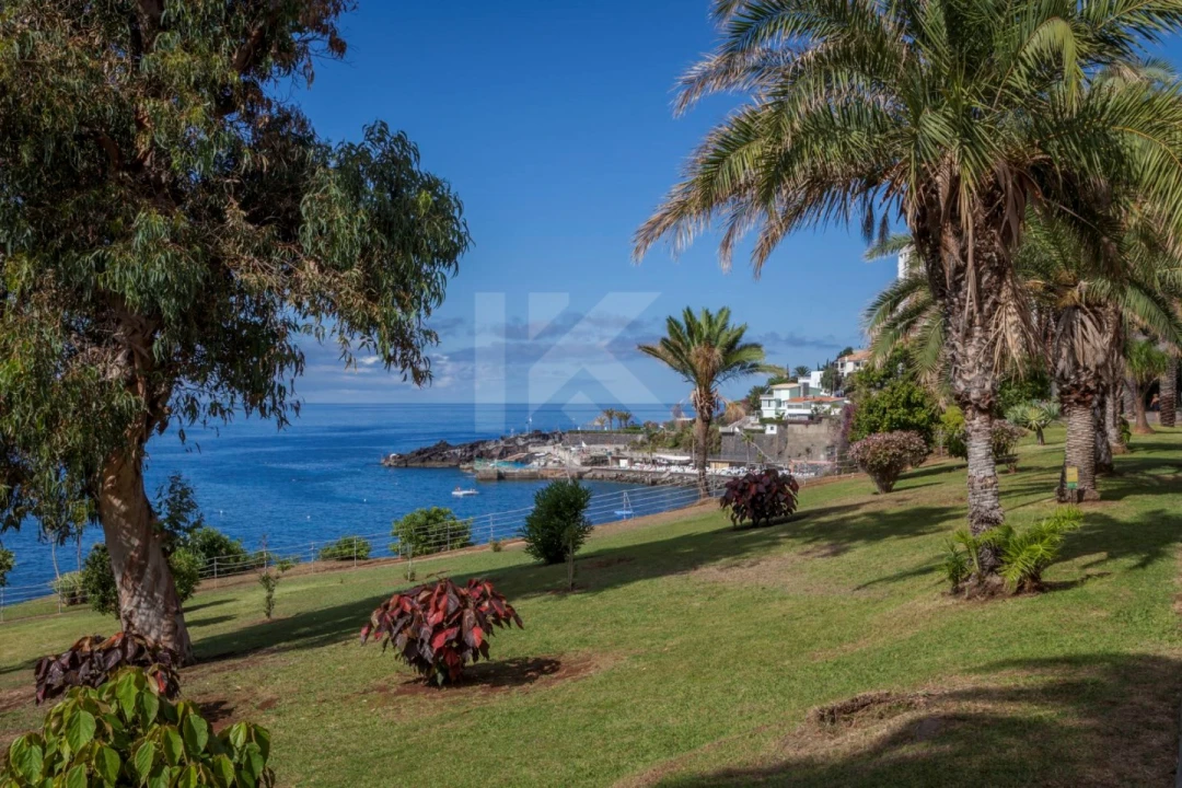 Apartamento T1 para Arrendamento em São Martinho Foto 30