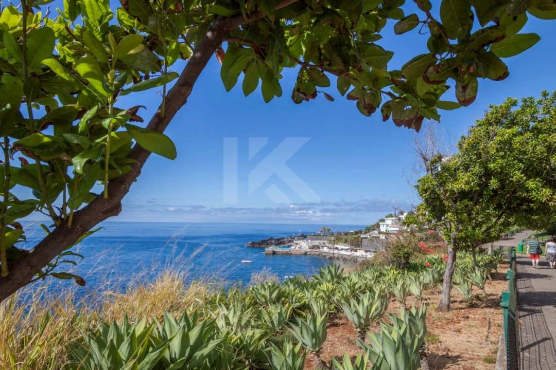 Apartamento T1 para Arrendamento em São Martinho Foto 34