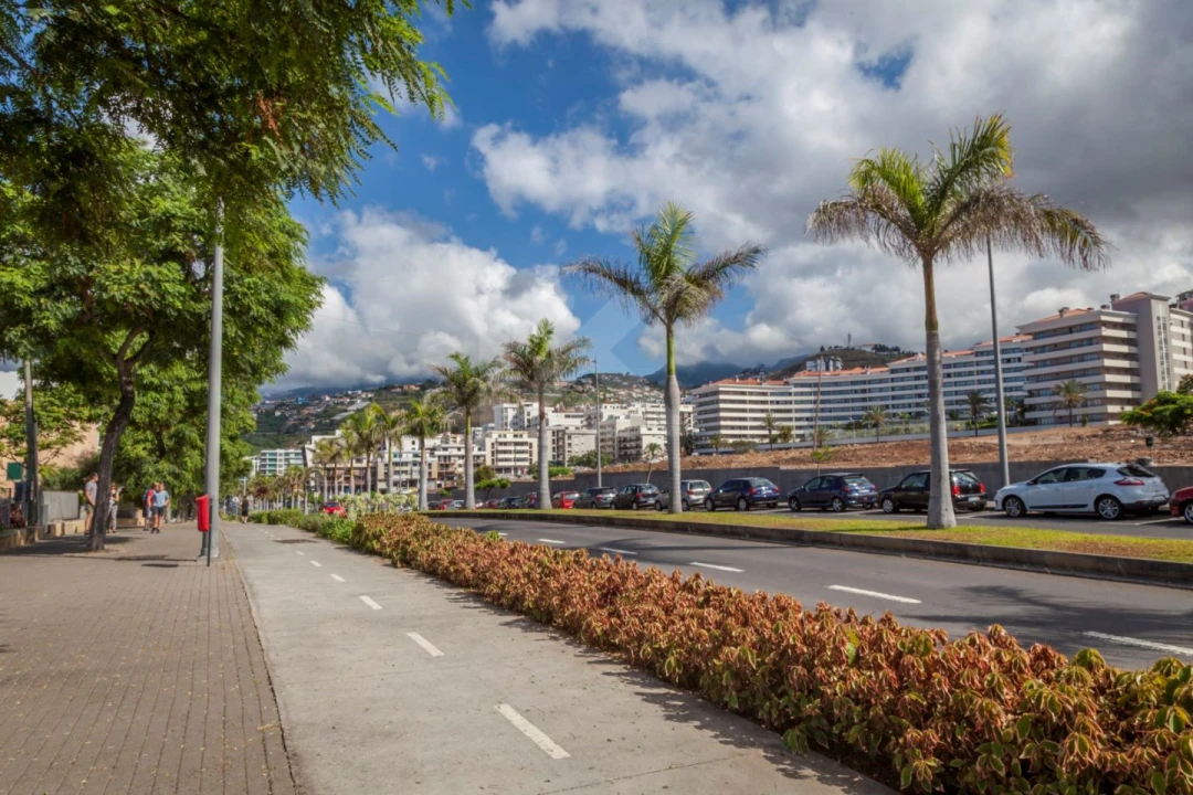 Apartamento T1 para Arrendamento em São Martinho Foto 38