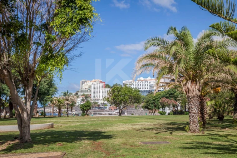 Apartamento T1 para Arrendamento em São Martinho Foto 25