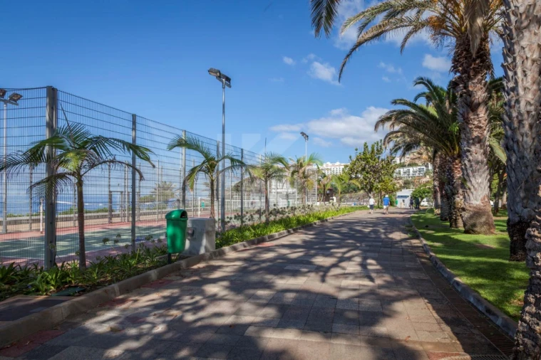 Apartamento T1 para Arrendamento em São Martinho Foto 26