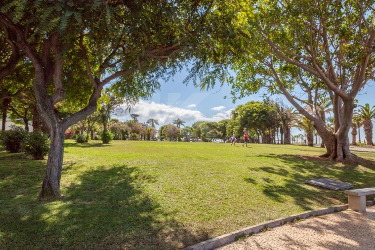 Apartamento T1 para Arrendamento em São Martinho Foto 31