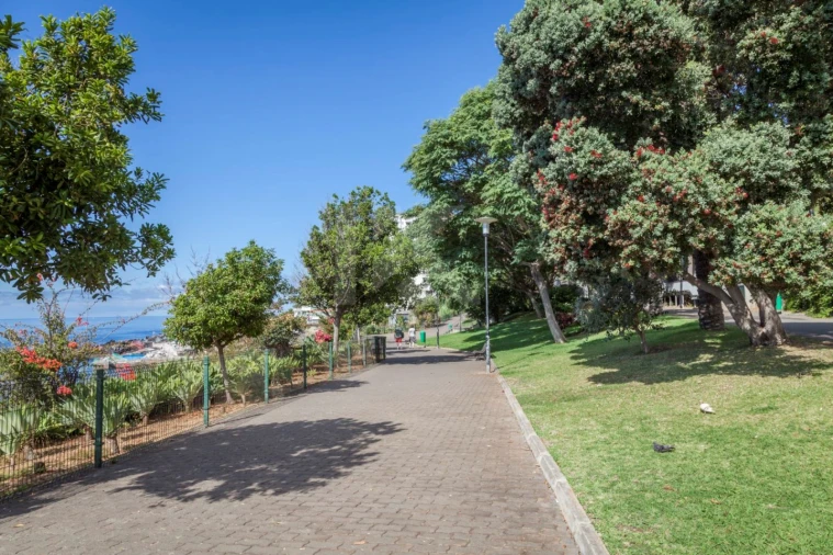 Apartamento T1 para Arrendamento em São Martinho Foto 36