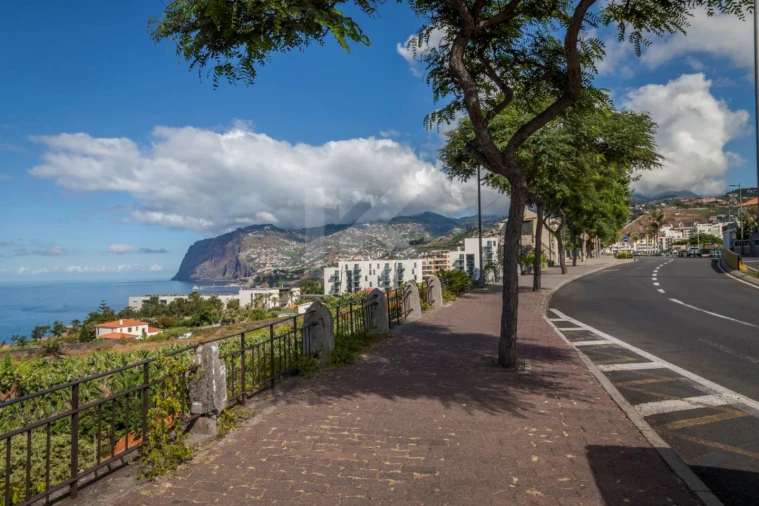Apartamento T1 para Arrendamento em São Martinho Foto 37