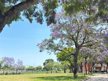 Apartamento T6 para Venda em Glória e Vera Cruz