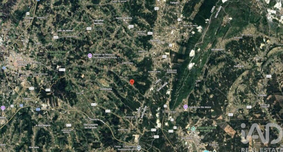 Terreno para Venda em Alvorninha Foto 3
