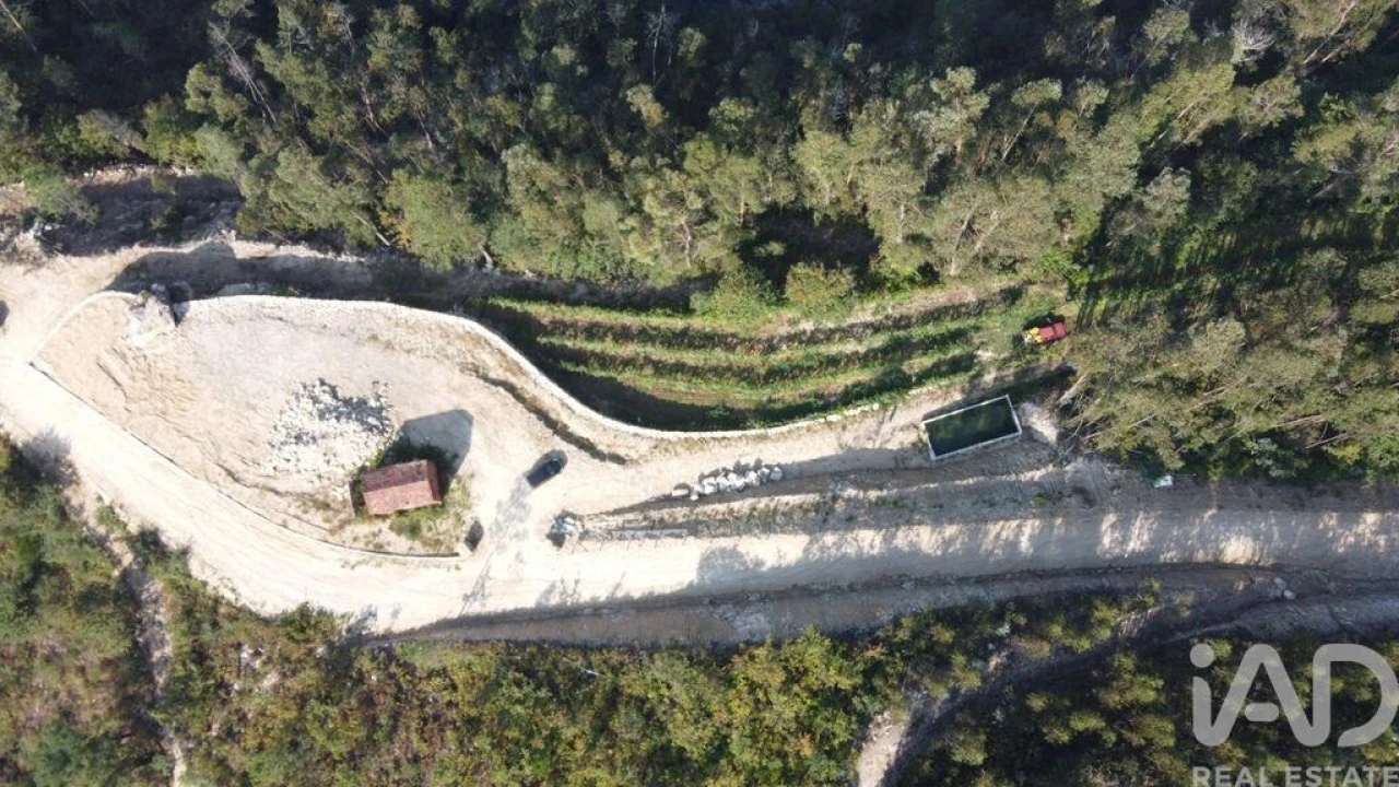 Quinta para Venda em São João da Serra Foto 3