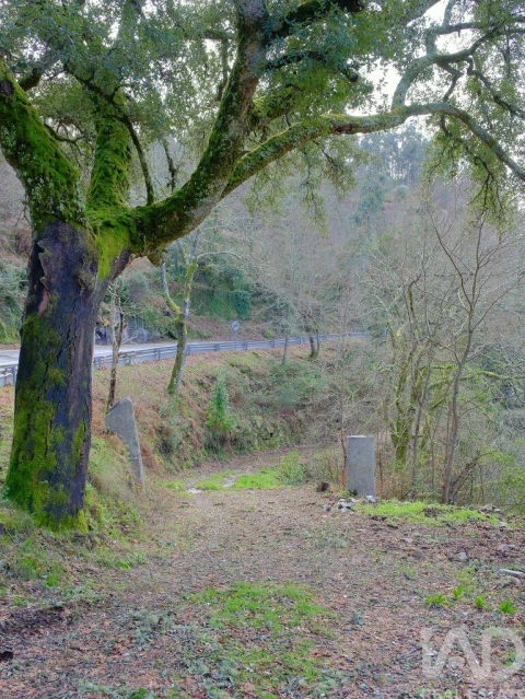 Quinta para Venda em São João da Serra