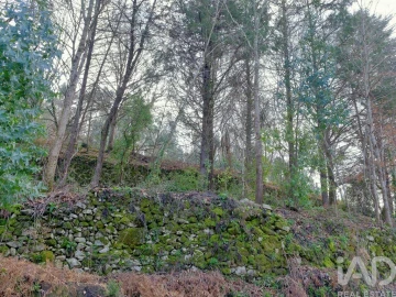 Quinta para Venda em São João da Serra
