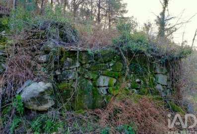 Quinta para Venda em São João da Serra