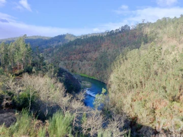 Quinta para Venda em São João da Serra