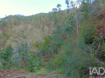 Quinta para Venda em São João da Serra